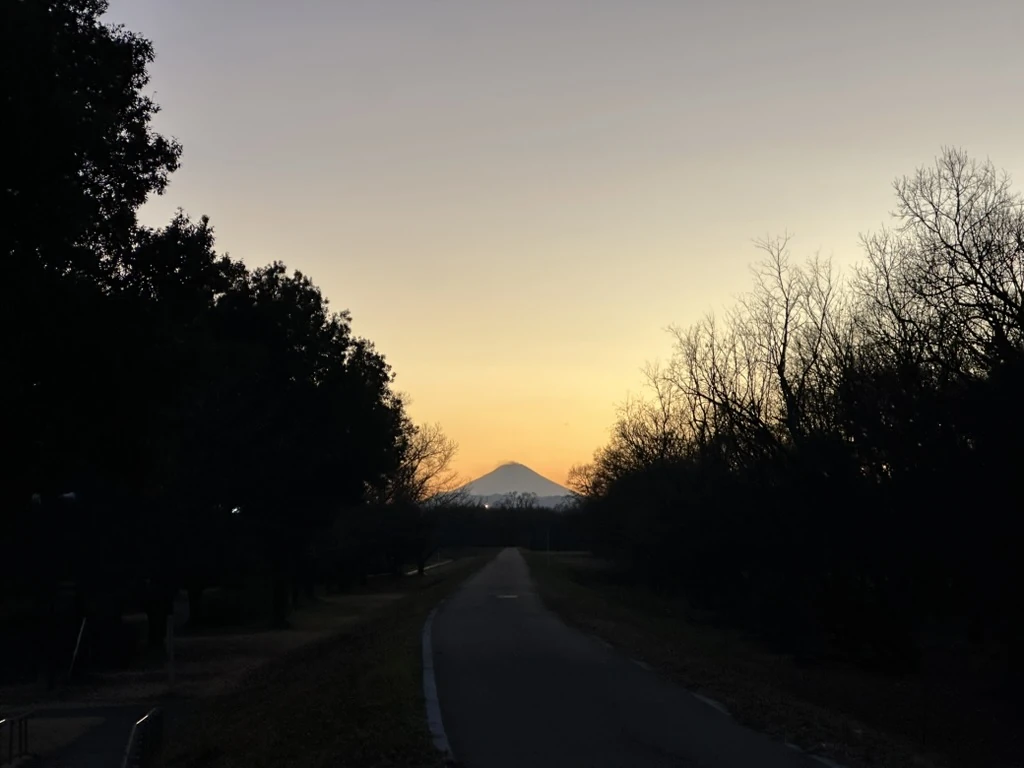 A tree-lined path leading toward a distant mountain beneath a golden evening sky.