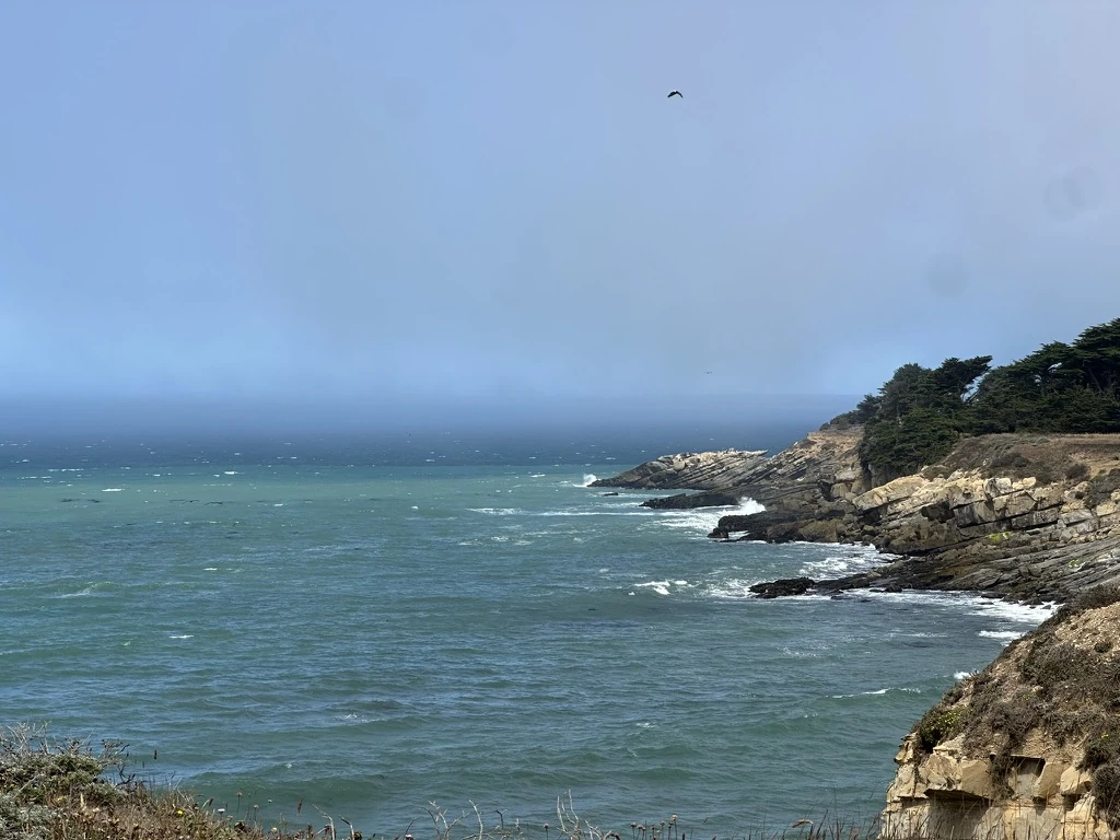 Waves breaking along a rocky coastline, with windswept trees above the cliffs and a bird in the hazy blue sky.